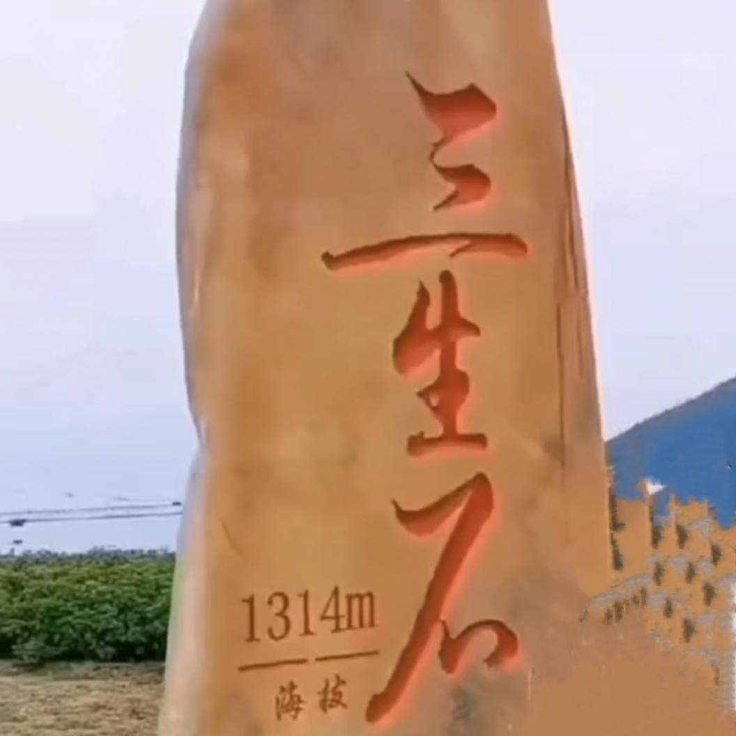 西域孤狼