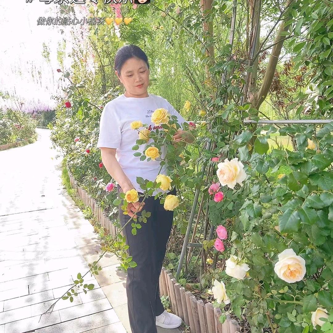 ˗ˏˋ♥ˎˊ˗  冉