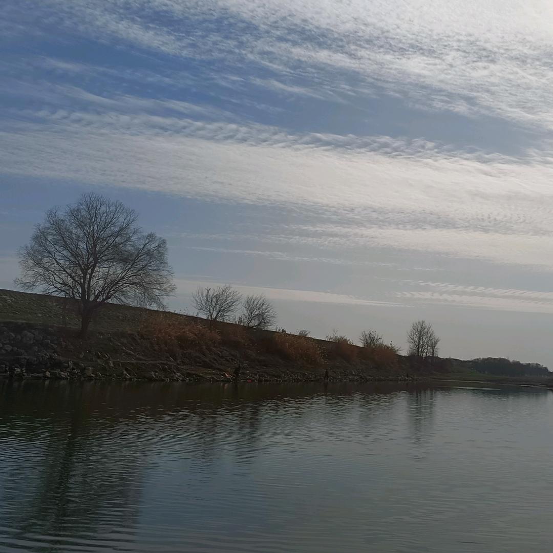 去有风的地方灬