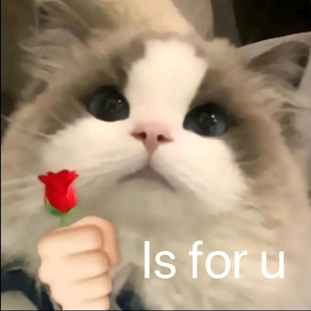 •͈ ₃ •͈