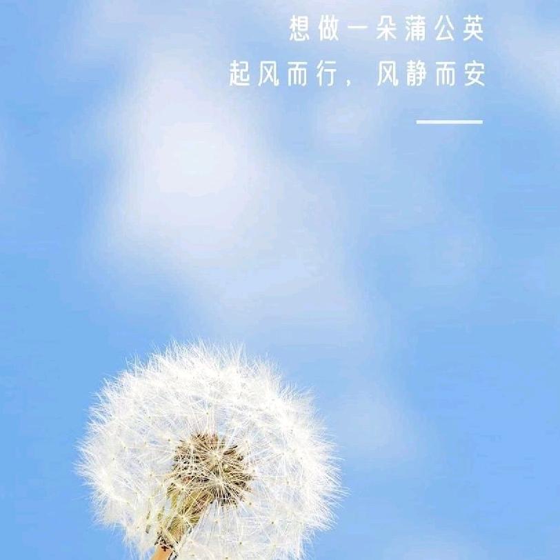 家有儿女
