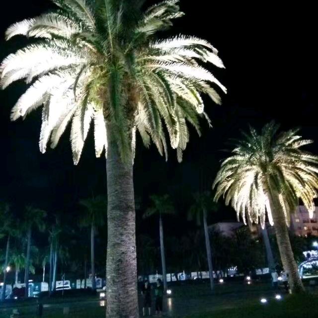漂洋