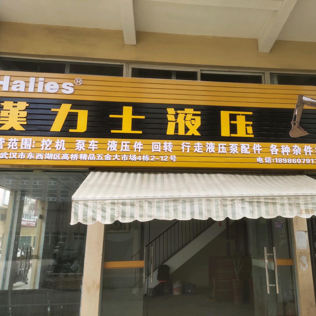 武汉汉力士液压泵配件