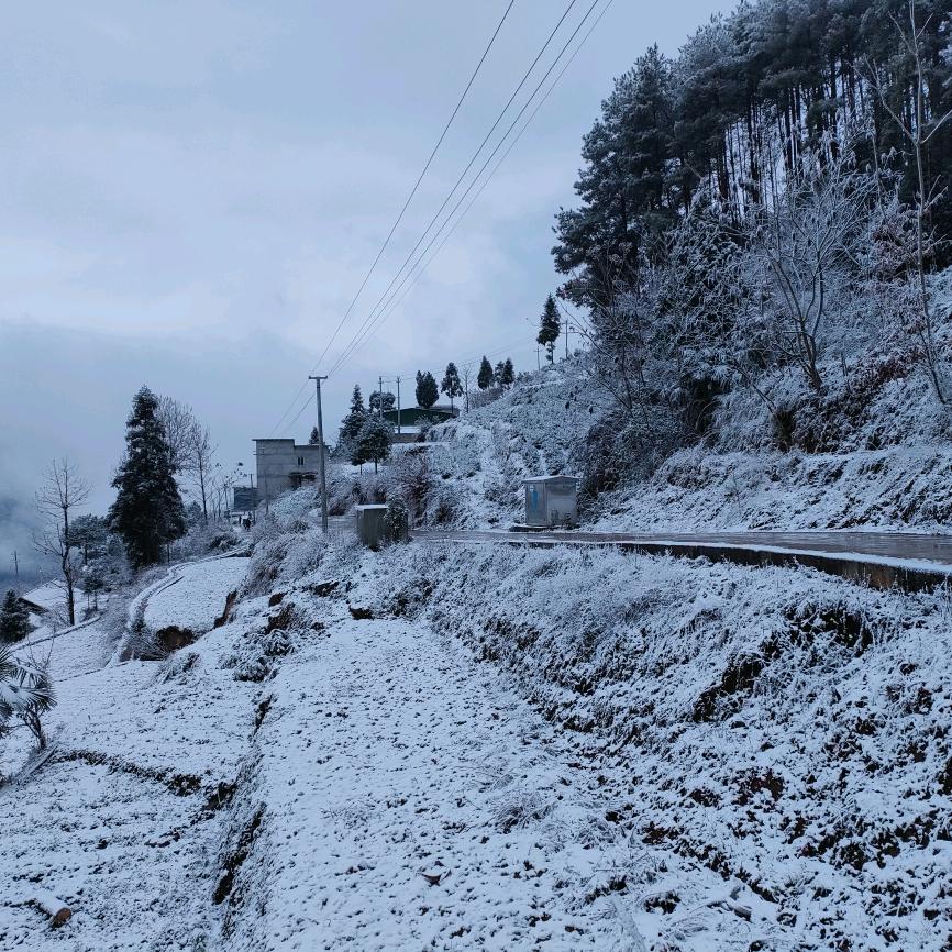 我姓覃但擒不住你的心