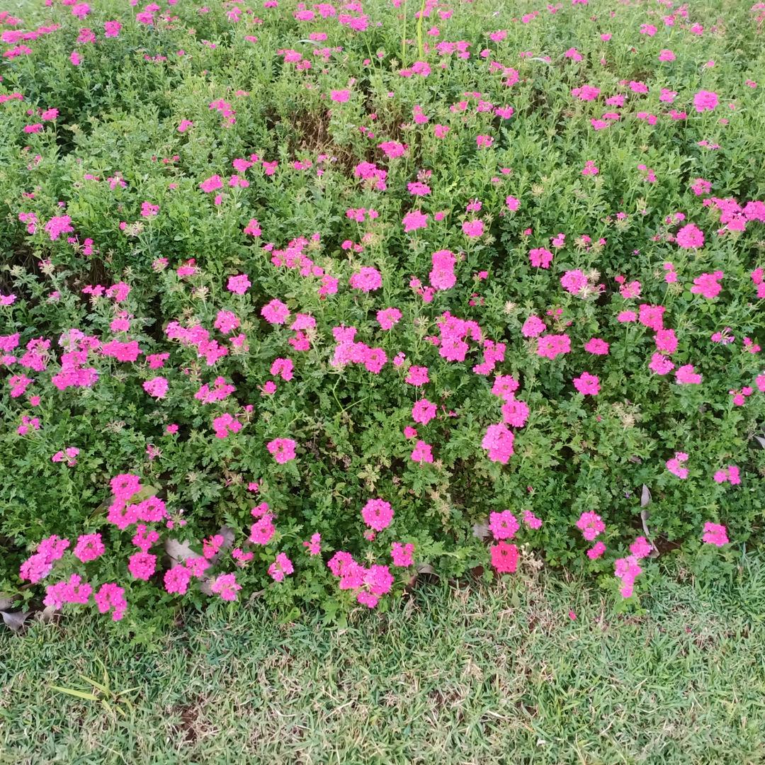 用户4204582524169风雨无阻