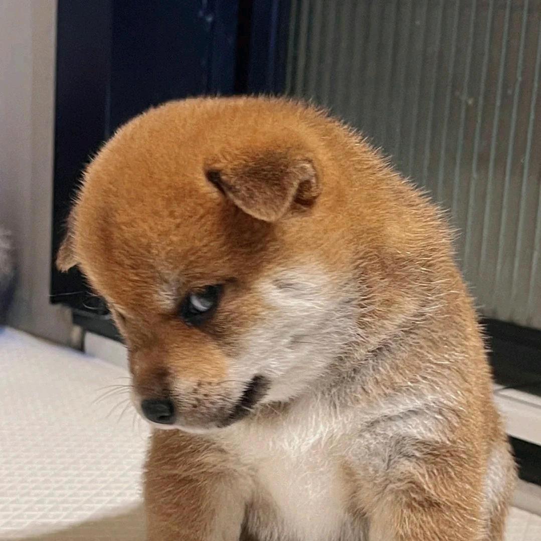 泪痕