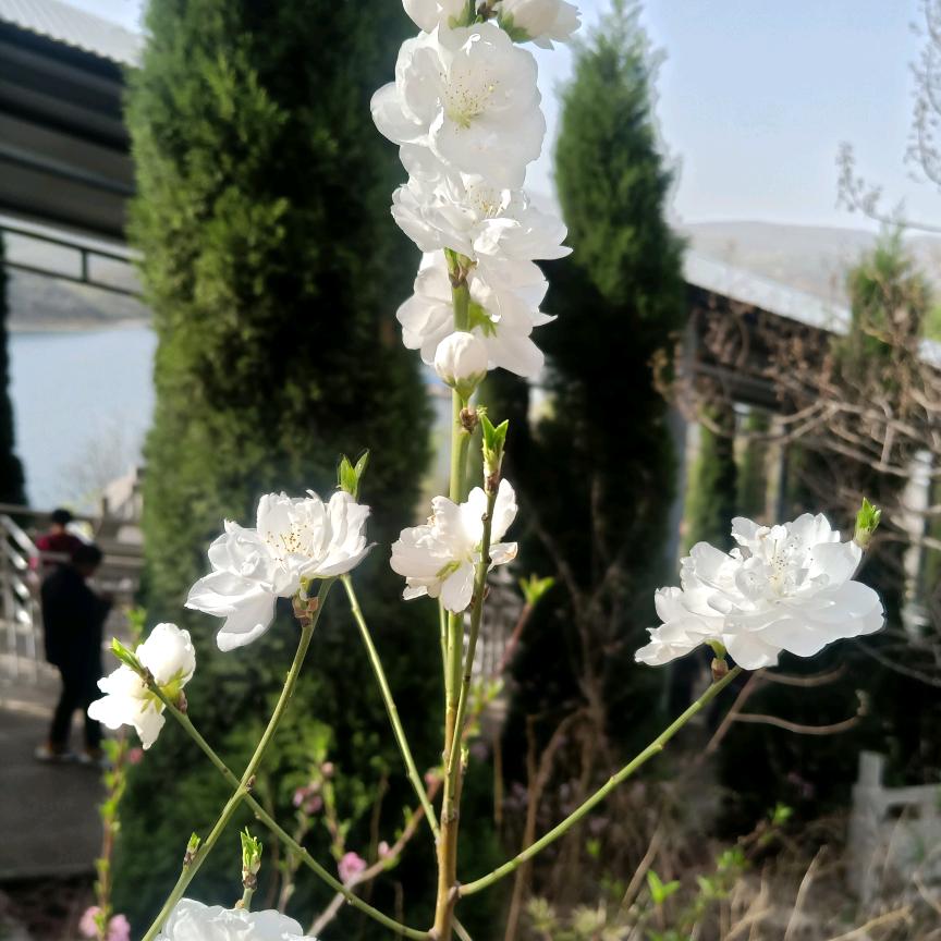 、开心 💐🌺
