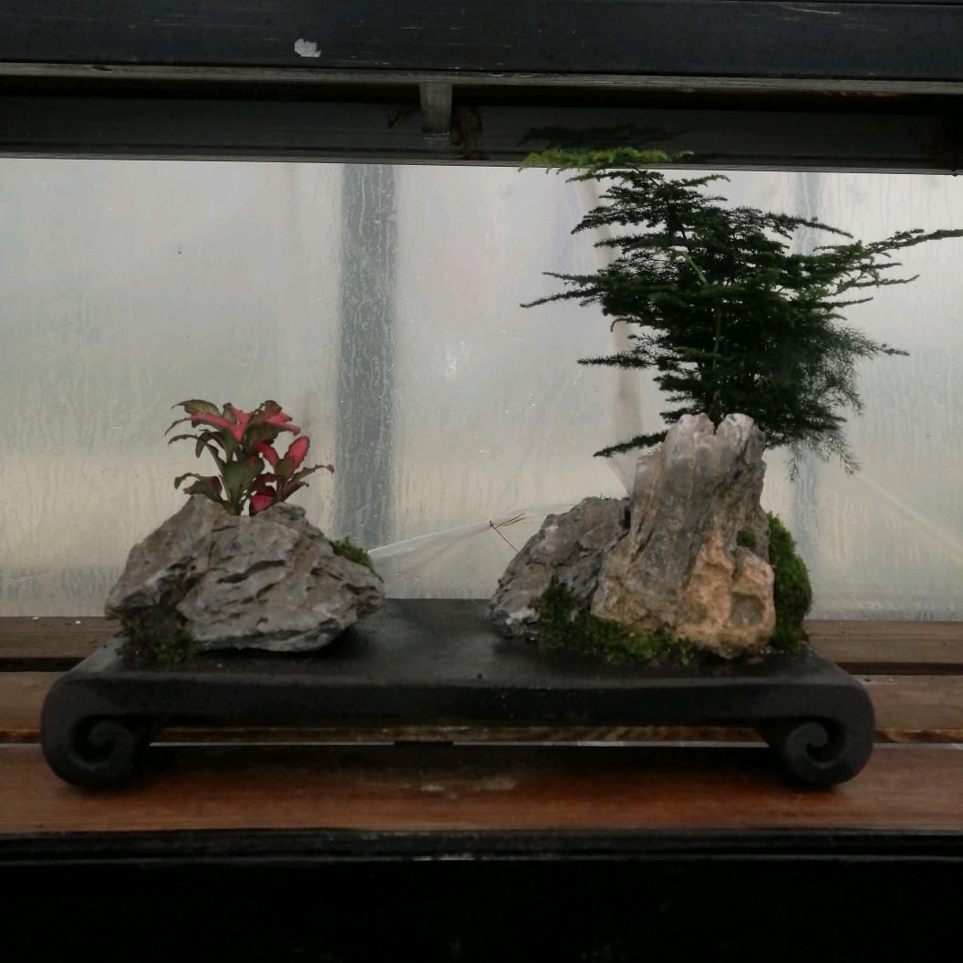 花匠