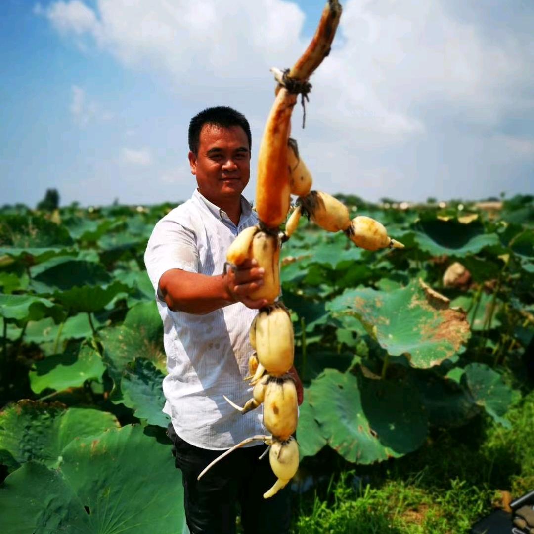 李梓菘