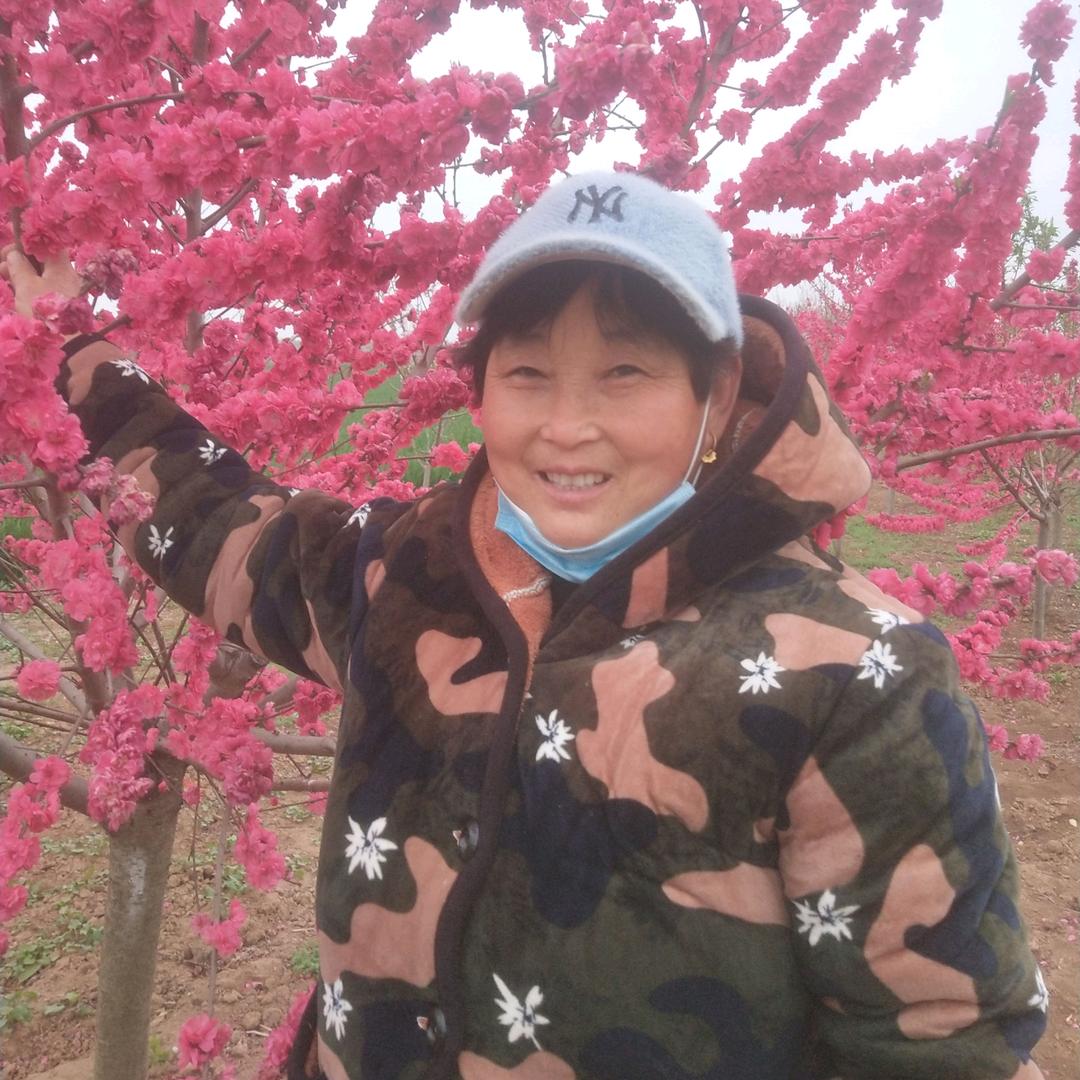 吴传花