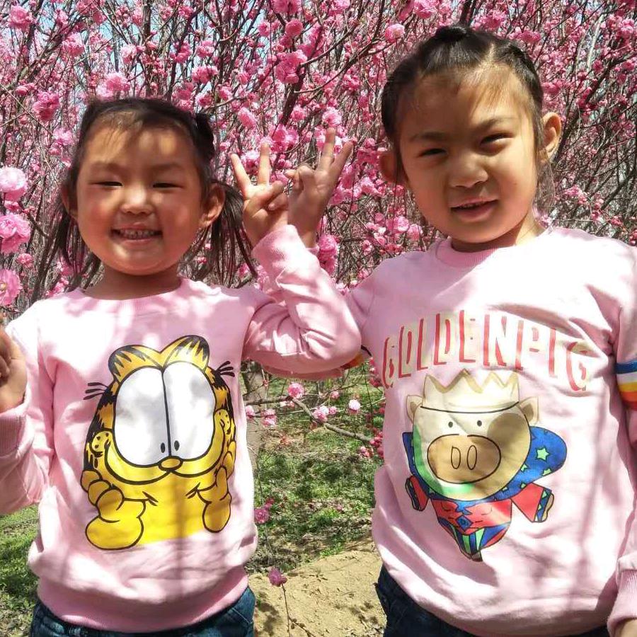 本人工作中。。。。