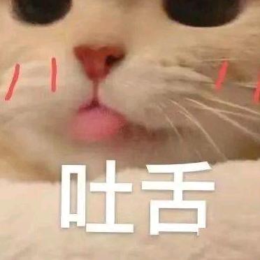 小猫咪很坏头像