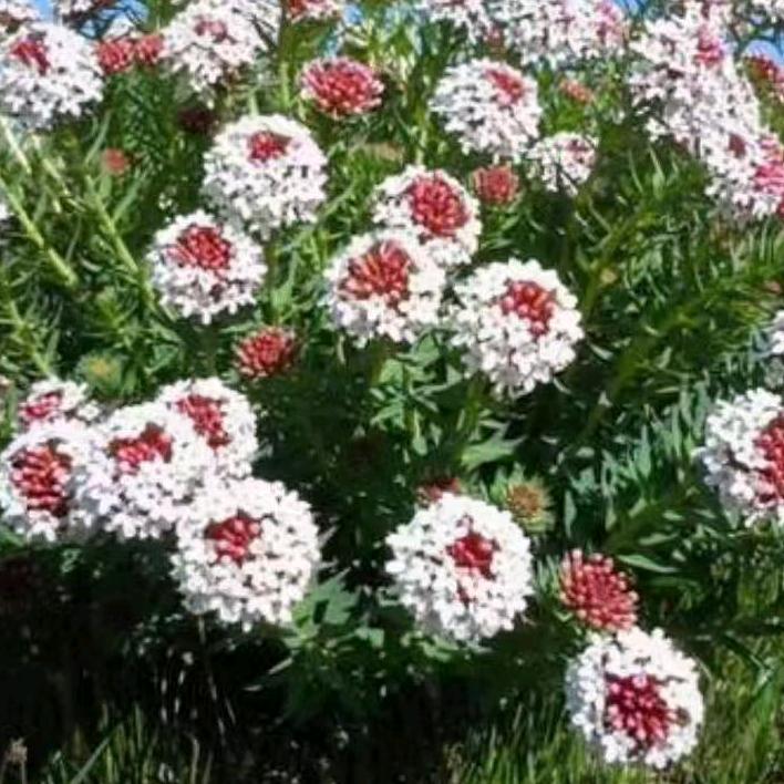 欢迎你走进我视线
