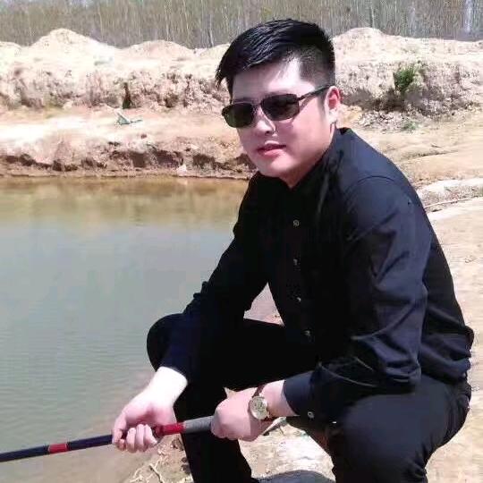 龍在天豪