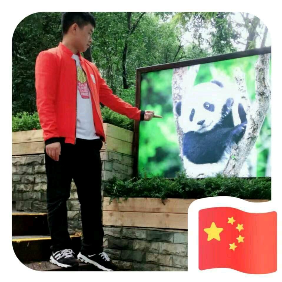 六六6