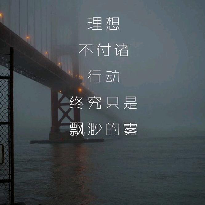 实践奔向理想
