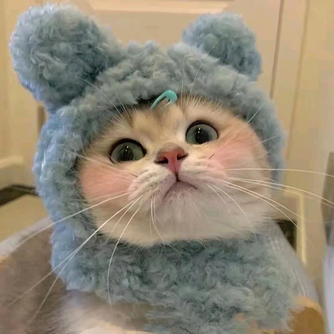 只为🥰