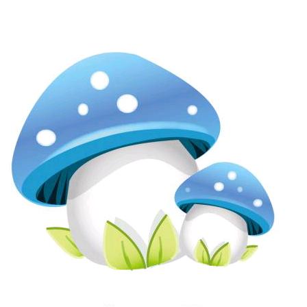 蘑菇屋综合店直播中心