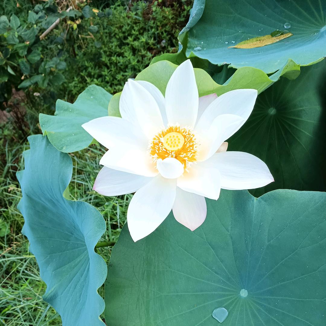 心❤️累