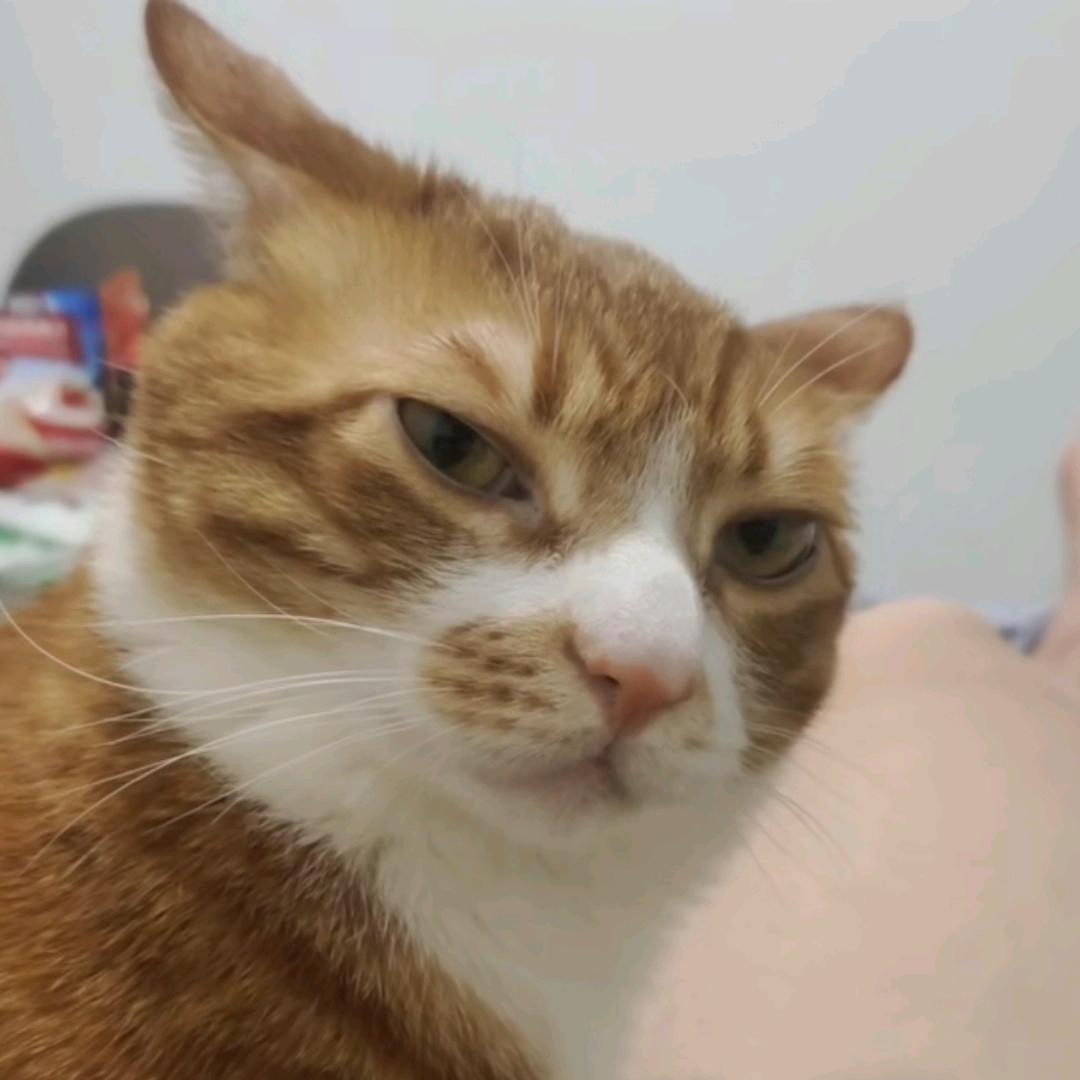 ☯