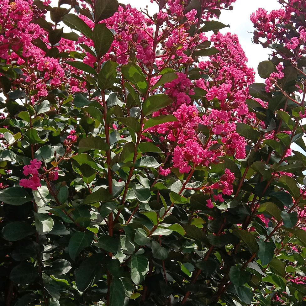 知足常乐，开心就好/