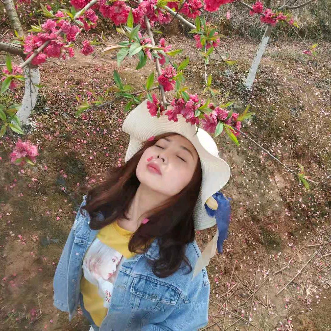 小燕子