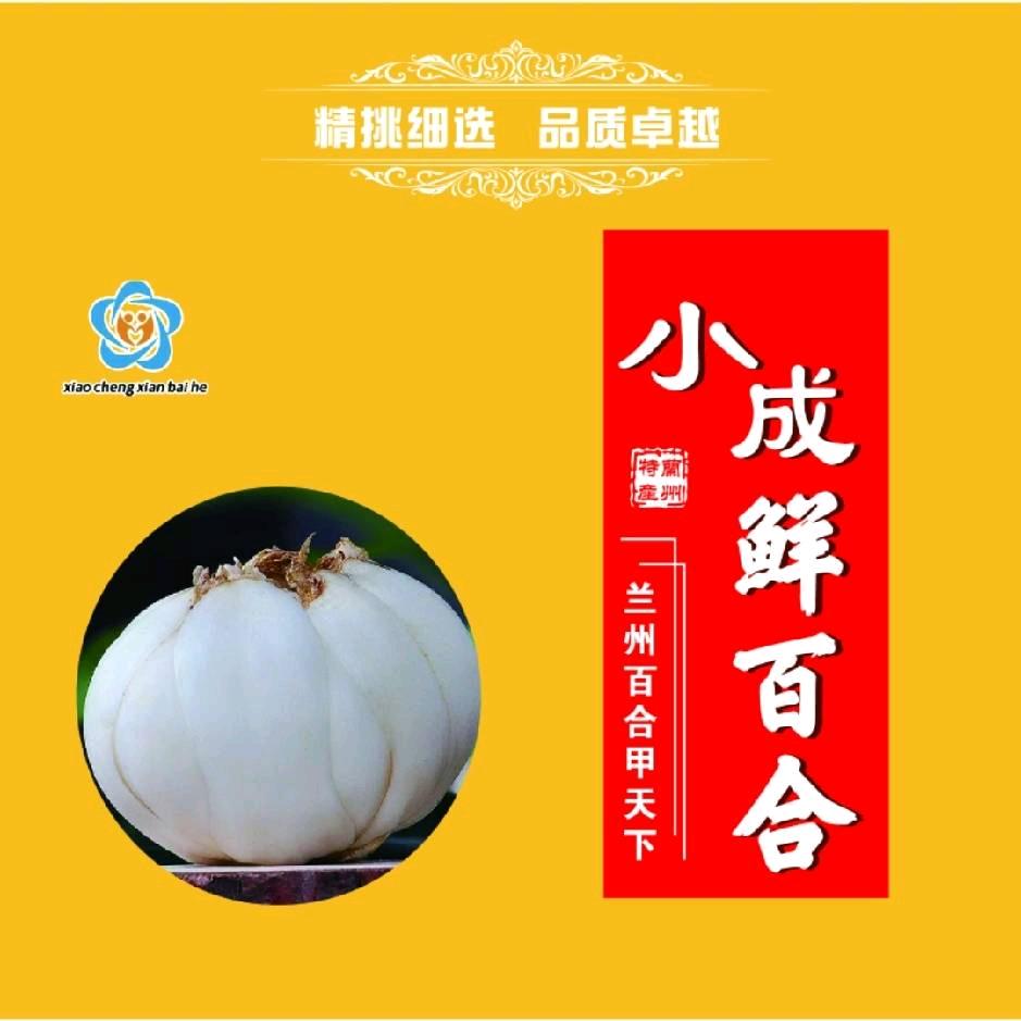 小成百合