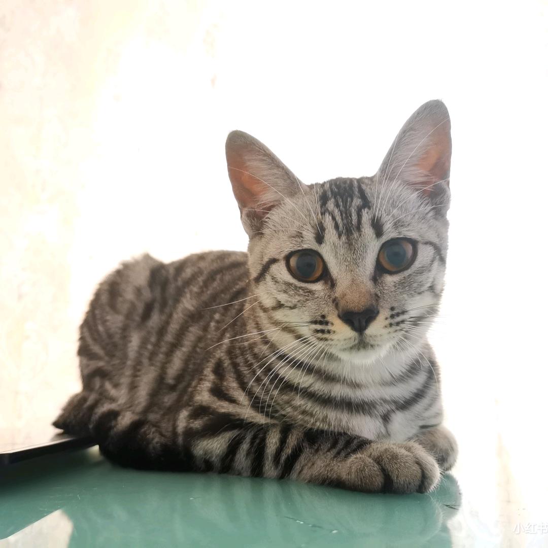 泽壹🍀