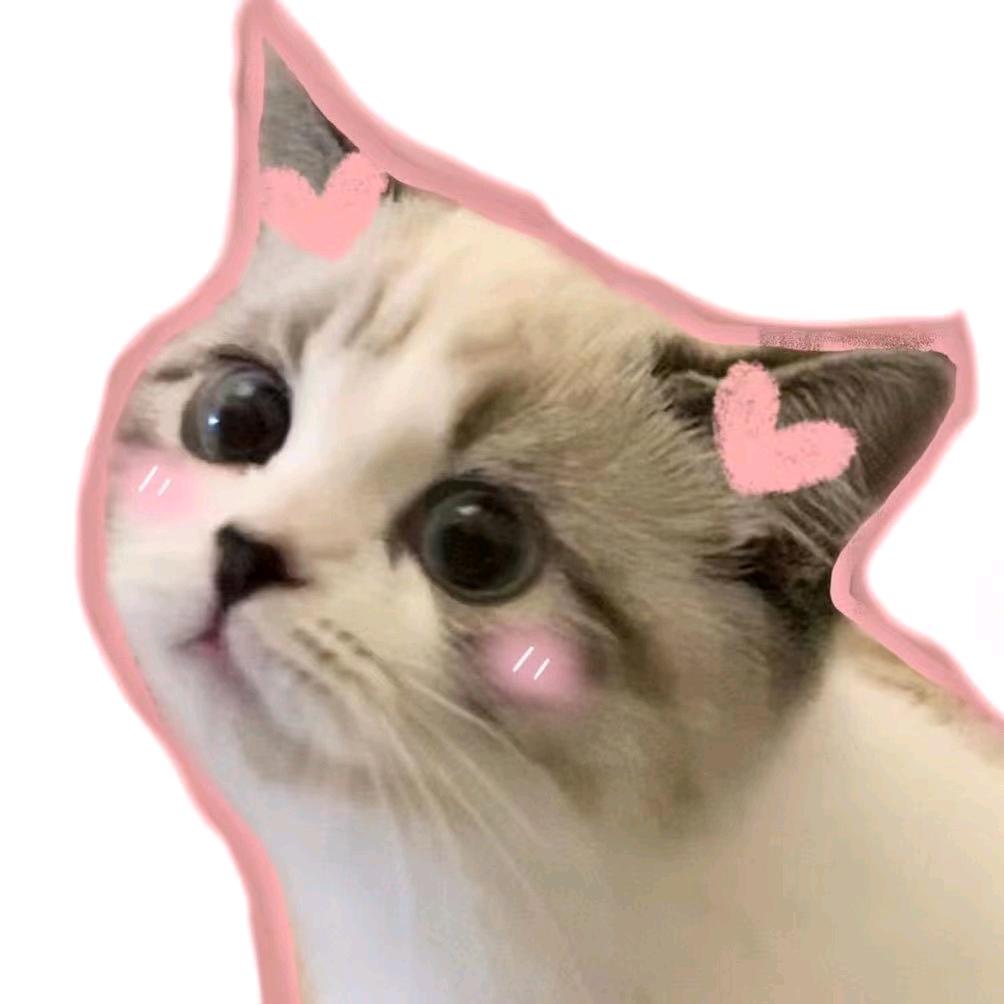 炉石散语