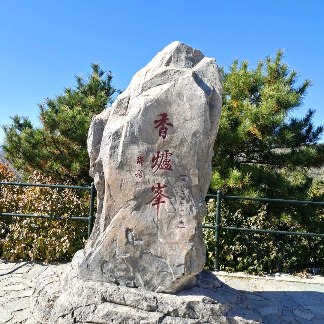 一往情深，