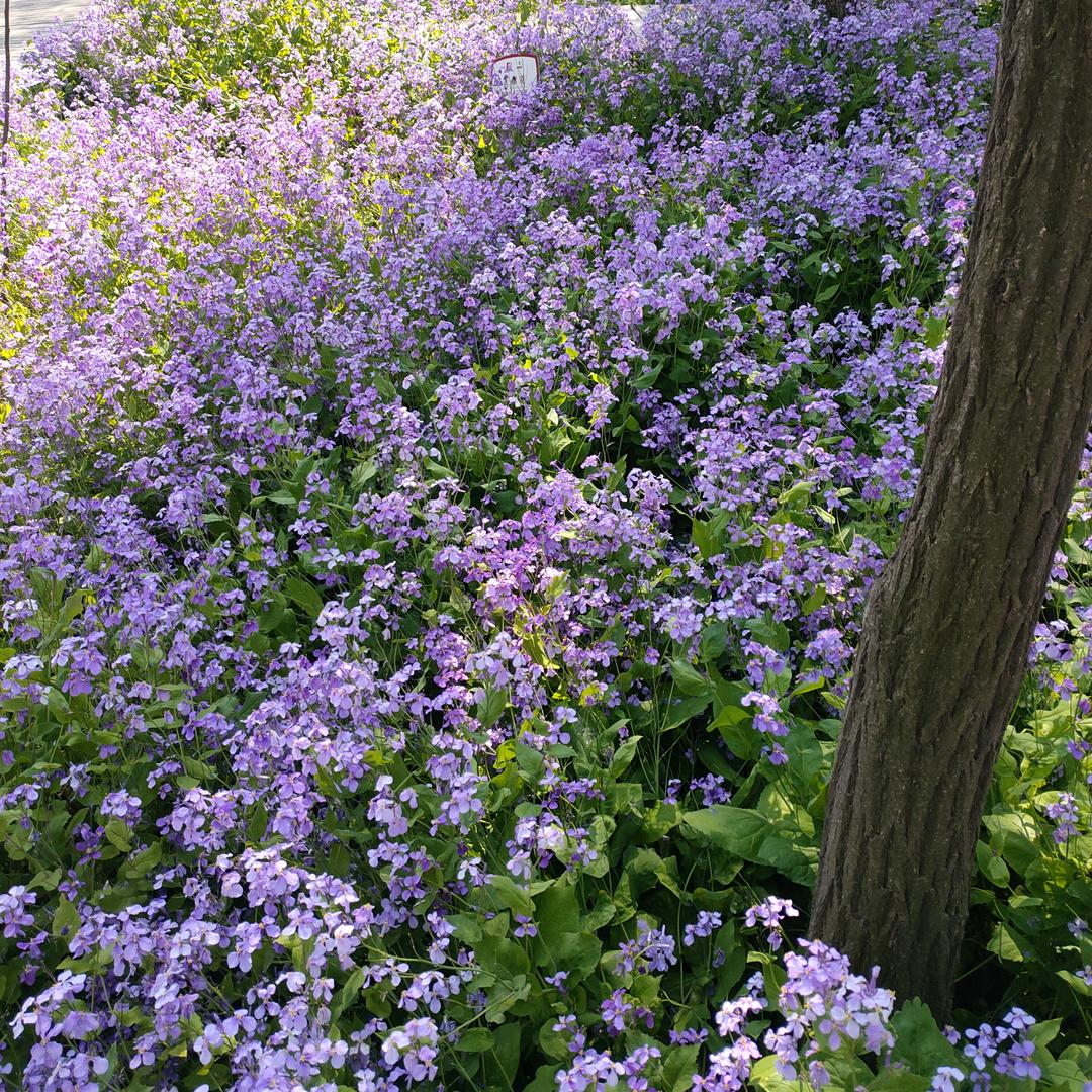 有妳很幸福🛸⁰⁵⁰⁶