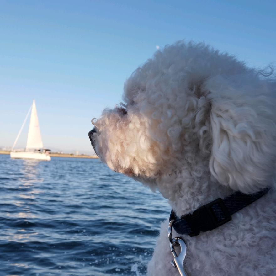 董董董🪭是我🪭