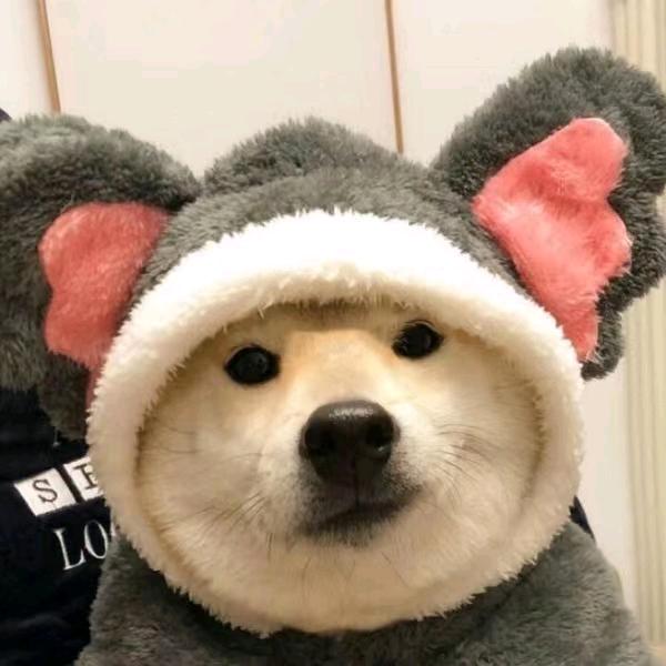 红绿灯的黄