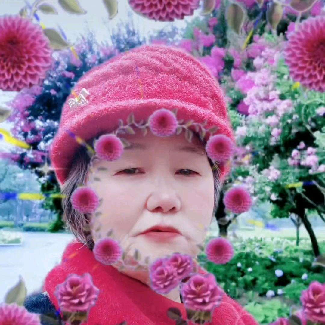 三月菊