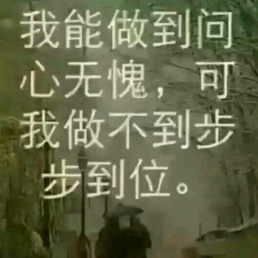 诚心诚意Y头像