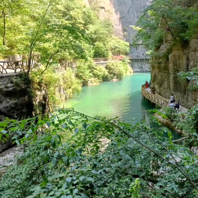 树大根深