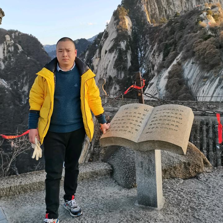 鸽子爱吃