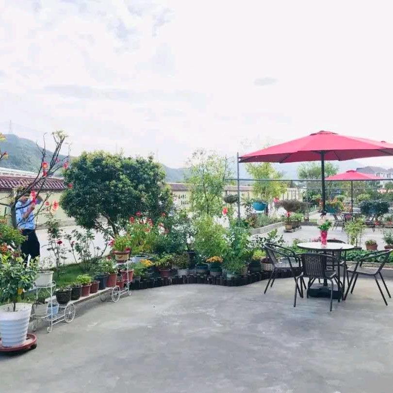 用户6159556314710庭院花色