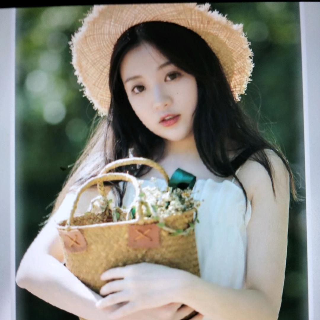 花好月圆，菊