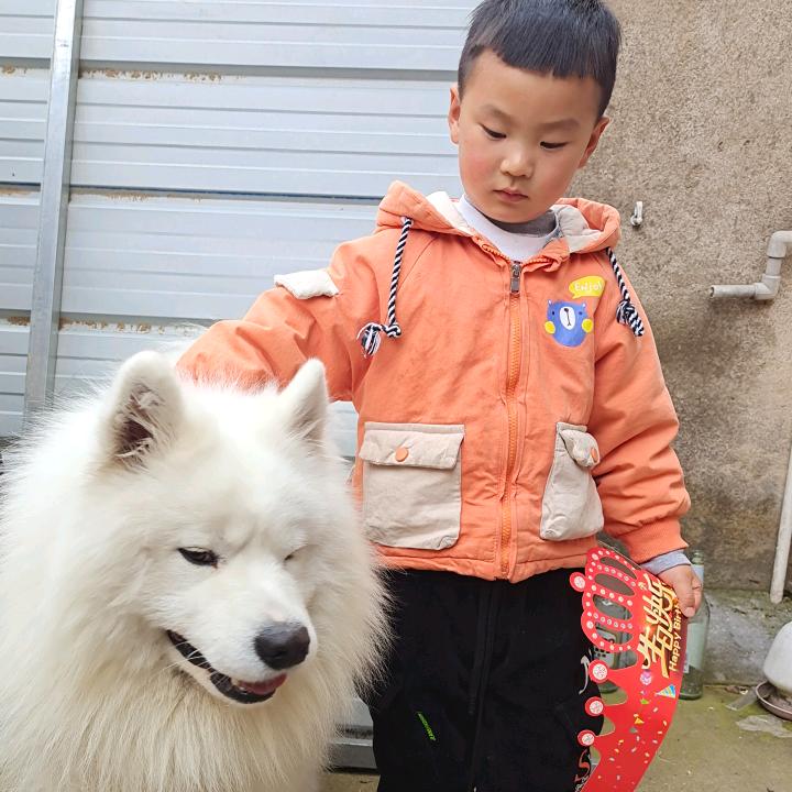 泡泡万