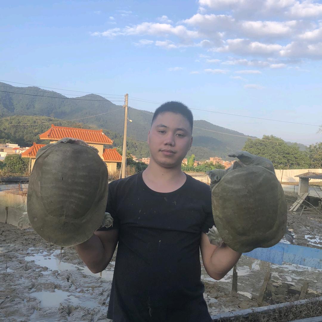 广粤豪水产1