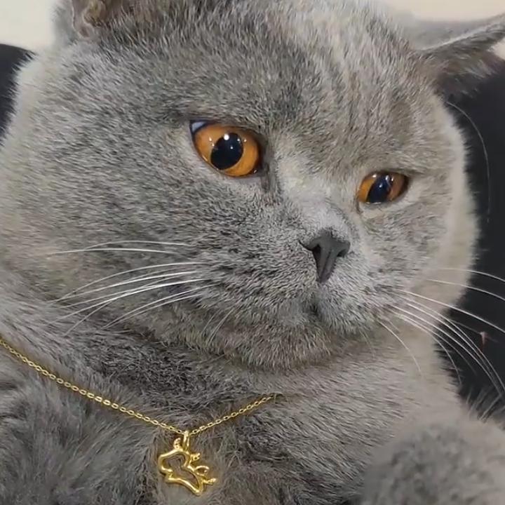 棒棒糖777