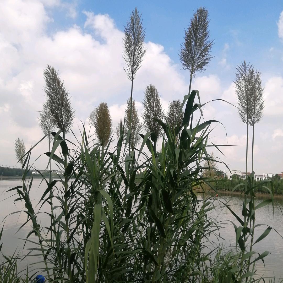 新起点. 新挑战🚀