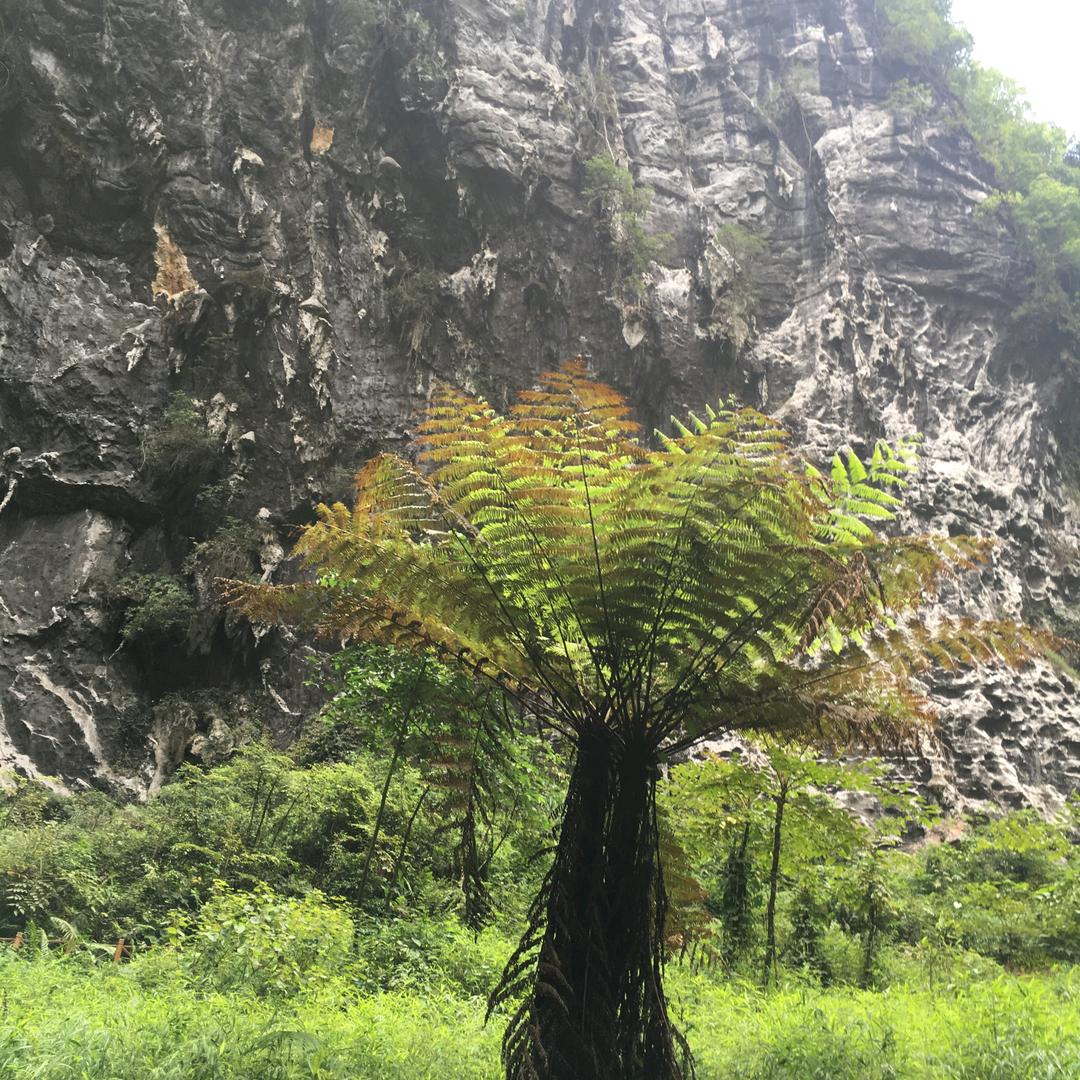 小不点
