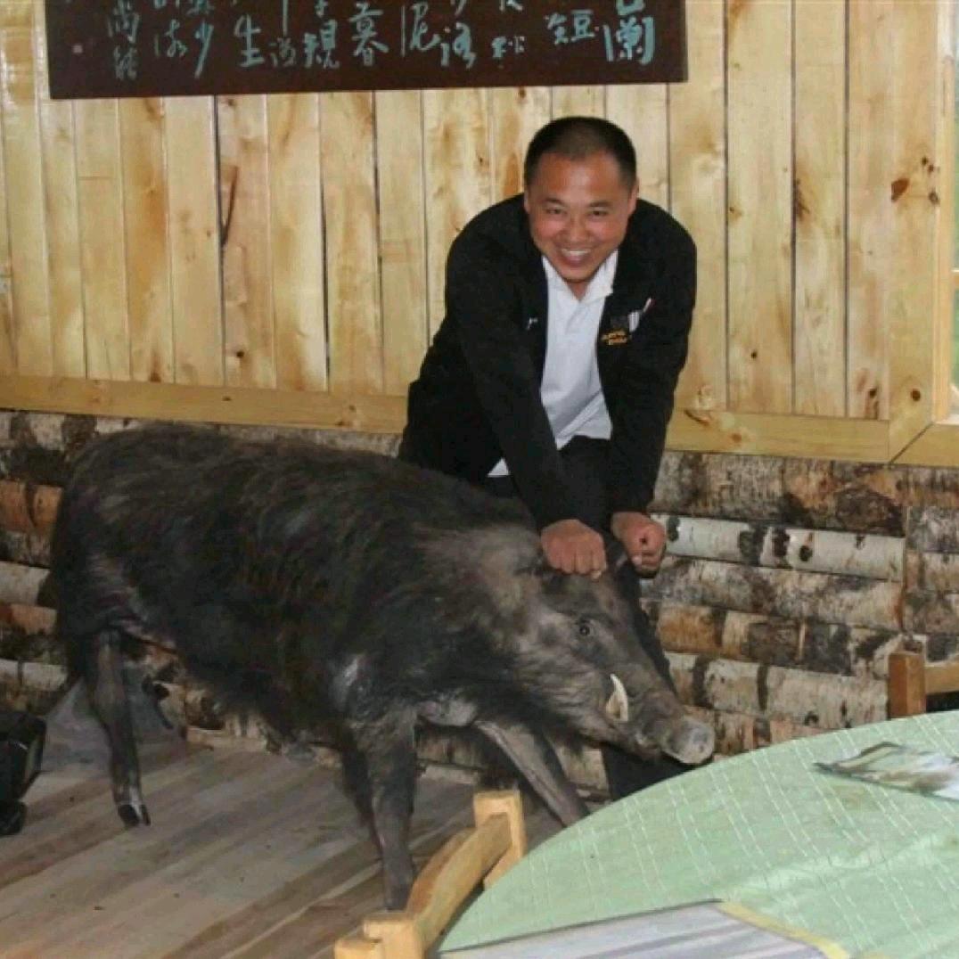 静海杨波
