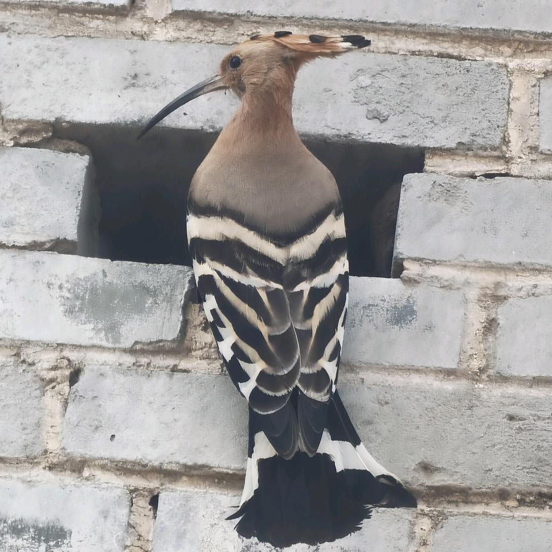 运城市鑫途汽车服务有限公司