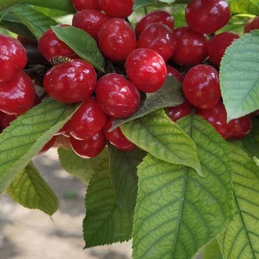 用户310911752162往事如风