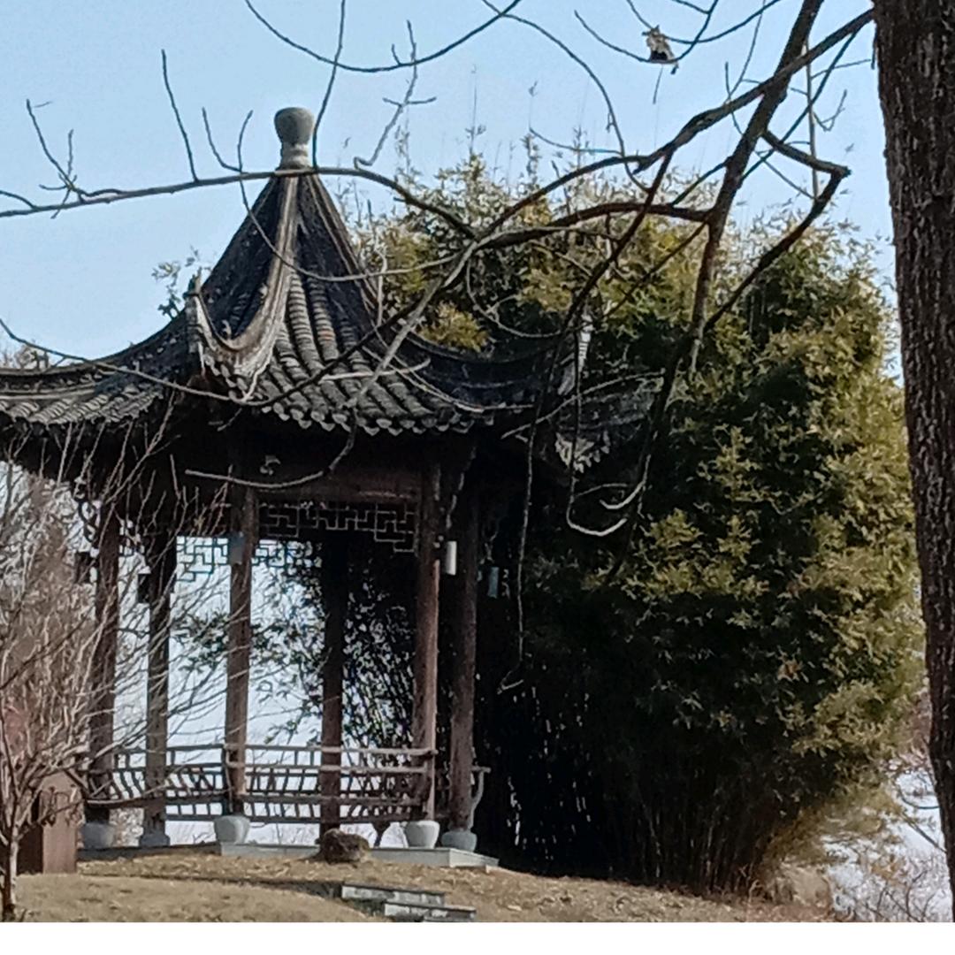 忠宝