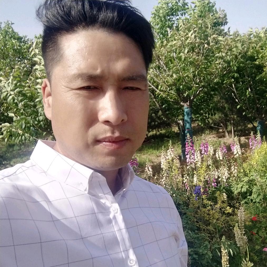 李迎灿