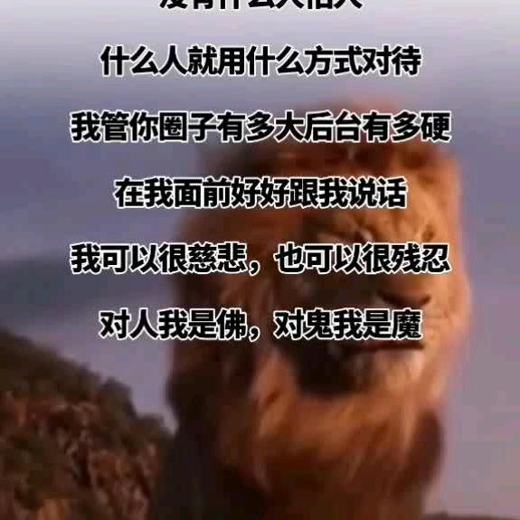 随风